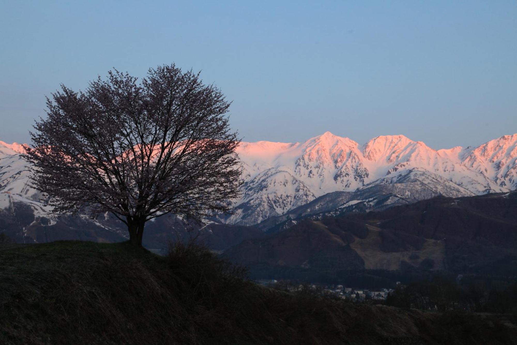 Country Inn Kashiwabara Hakuba Dış mekan fotoğraf